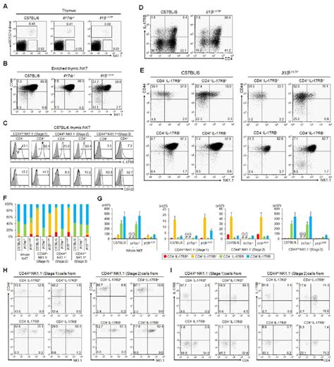 Profile Of I Nkt Cells In The Thymus Of Il Rb And Il L P