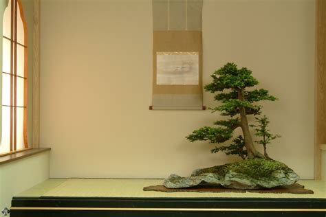 Detail Bonsai Wallpaper Koleksi Nomer 13