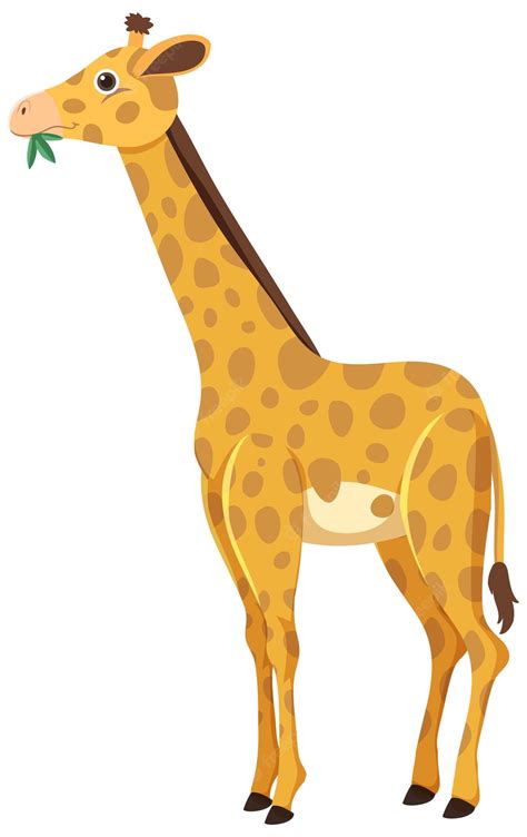 Animated Giraffes Clip Art Library