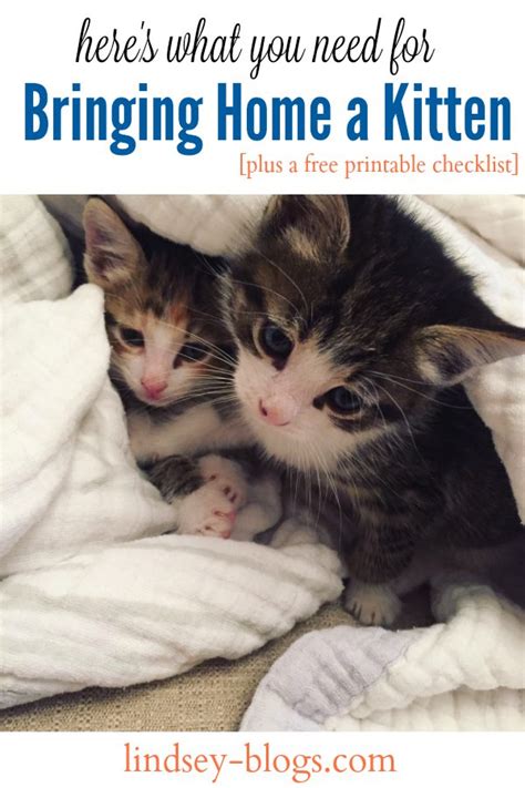 Bringing A New Kitten Home Free Printable New Kitten Checklist