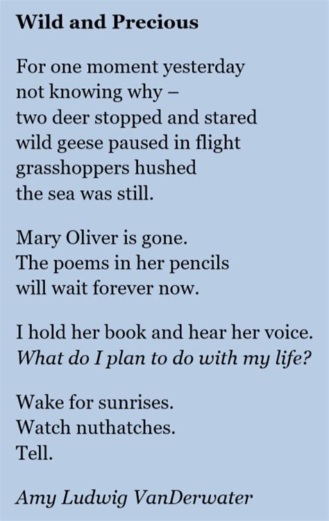 Mary Oliver Poems