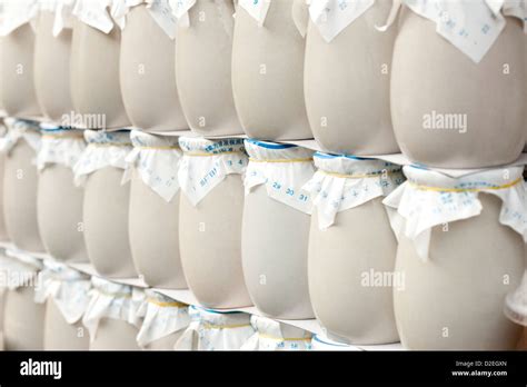 Chinese traditional yogurt Stock Photo - Alamy