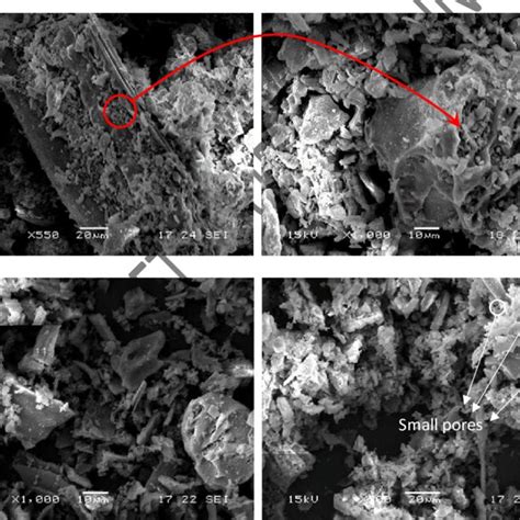 Sem Micrographs Of Rice Husk Ash Aandb Before Grinding Candd After