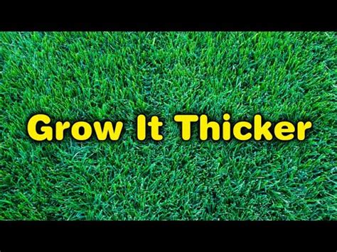 Fall Fertilization For Cool Season Lawns No Overseed Youtube