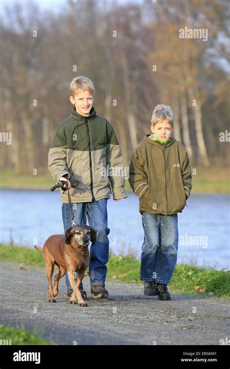 kids walk a dog Stock Photo - Alamy