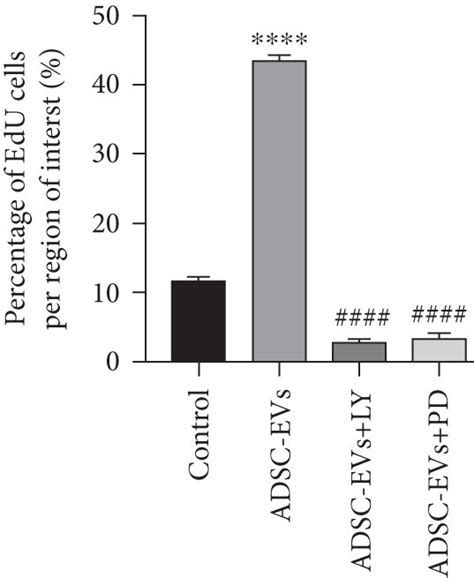 Adsc Evs Promote The Proliferation And Migration Of Cells Via The