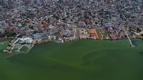 Ejecutivo Anuncia Plan Especial Para Descontaminar El Lago De Maracaibo