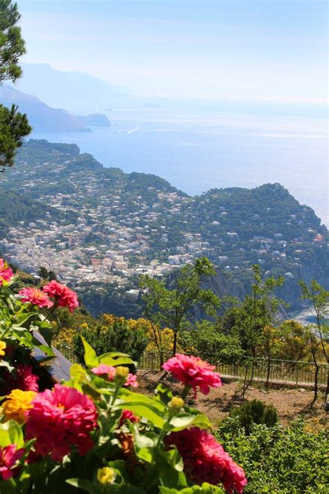 Capri Stock Photo Image Of Trees Lush Island Vegetation 59802664