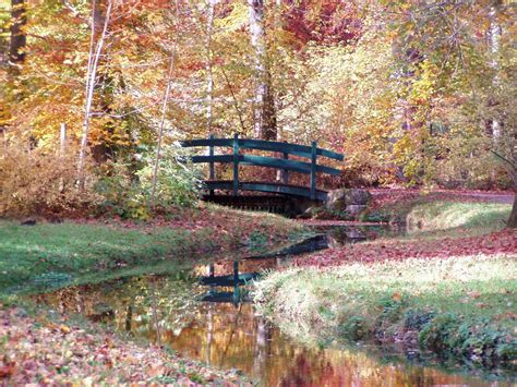 Free Images Tree Nature Forest Bridge Leaf Flower River Canal