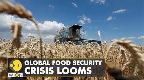 Global Food Security Crisis Looms Russia To Free Up Maritime Blockade