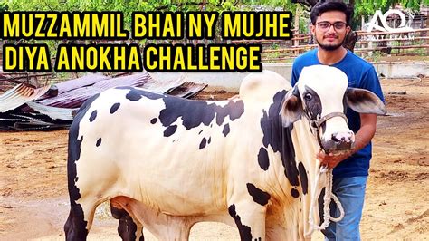 Muzammil Bhai Gave Me A Challenge AQ Cattle Farm Pakistan Media