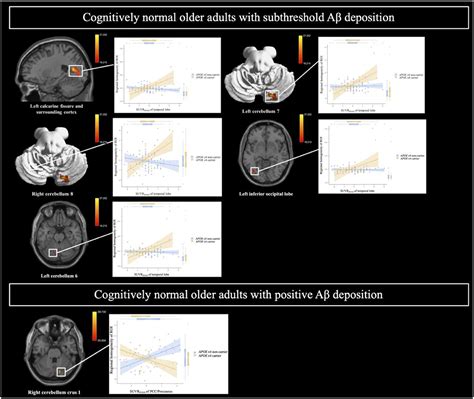 Frontiers Impact Of Apoe ε4 Carrier Status On Associations Between