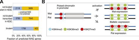 Figures And Data In Chromatin Signature Of Widespread Monoallelic