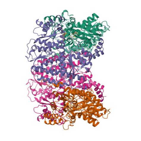 RCSB PDB 1QGU NITROGENASE MO FE PROTEIN FROM KLEBSIELLA PNEUMONIAE