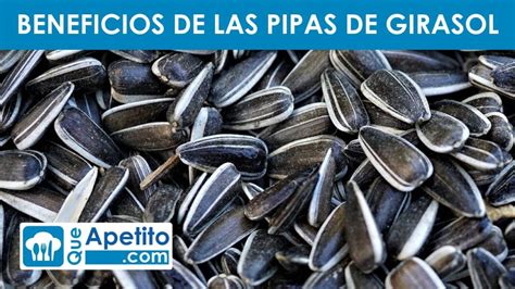 Descubre Los Beneficios Nutricionales De Las Pipas De Girasol