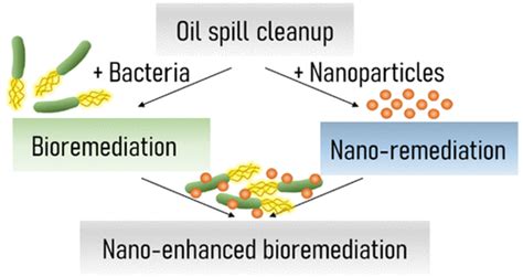 Nano Enhanced Bioremediation For Oil Spills A Review Acs Esandt