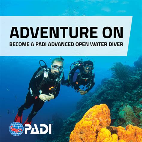 Advanced Open Water Ocean Divers Melbourne Learn To Scuba Dive