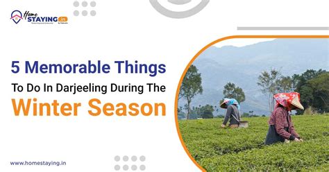 Memorable Things To Do In Darjeeling During The Winter Season