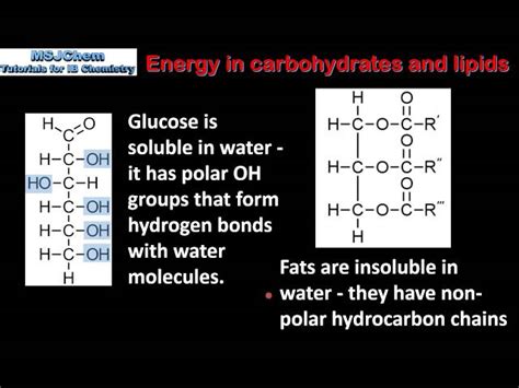 Difference Between Lipids And Carbohydrates Structures