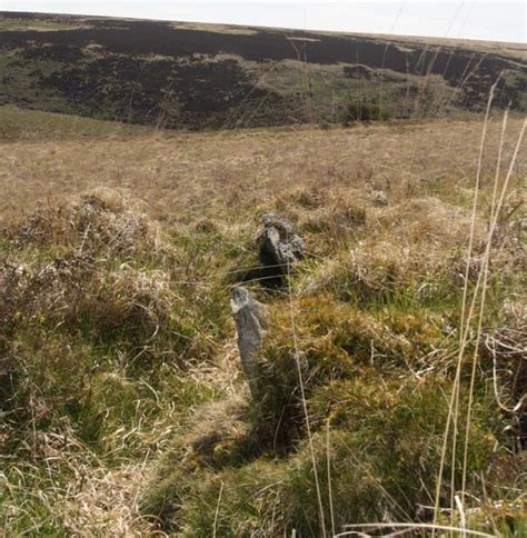 Exmoor Celia Haddon