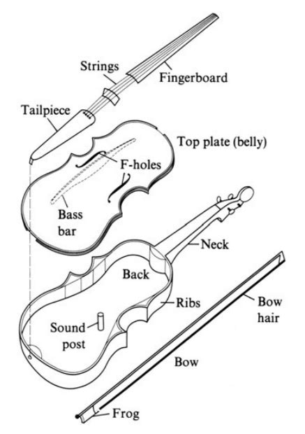 Violin Parts Diagram