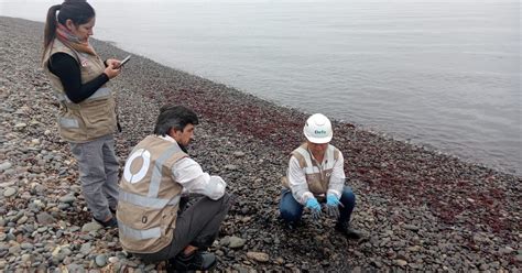 Fiscalía inicia investigación por cierre de playas de La Punta tras