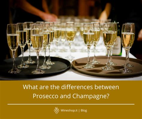 What Are The Differences Between Prosecco And Champagne Blog Wineshop It