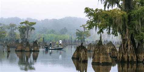 Northwest Floridas State Parks Easy Access To Variety Adventure And