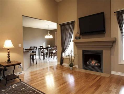 Direct Vent Gas Fireplace Installation Requirements | Home Design Ideas