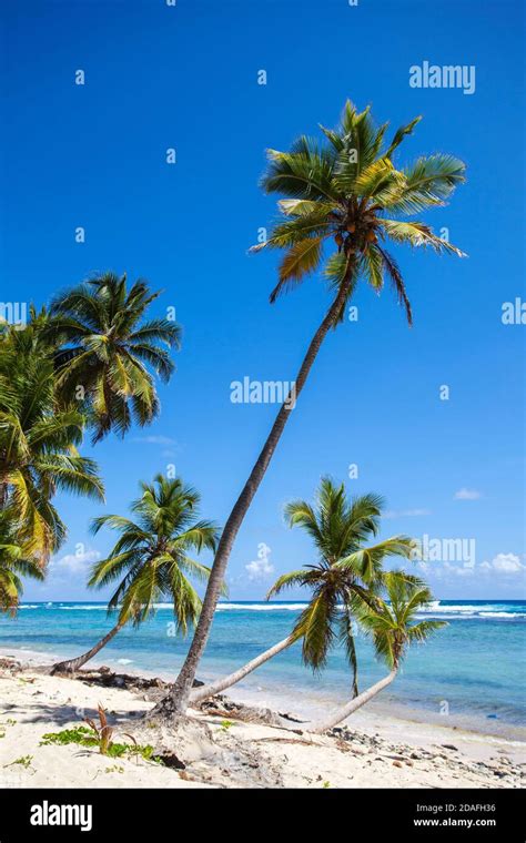 Dominican Republic Samana Peninsula Playa Fronton Stock Photo Alamy