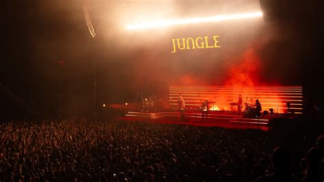 Jungle — CONCERT UPDATER