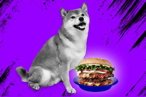 Popular Meme Coin, Shiba Inu Has Opened its Own Fast Food Chain - DailyCoin