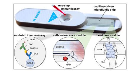 Transposing Lateral Flow Immunoassays To Capillary Driven Microfluidics