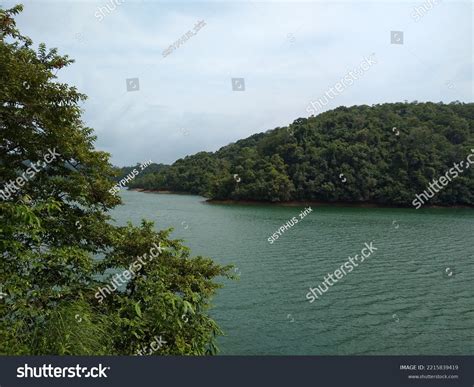 Neyyar Dam Reservoir Wildlife Sanctuary Thiruvananthapuram Stock Photo ...