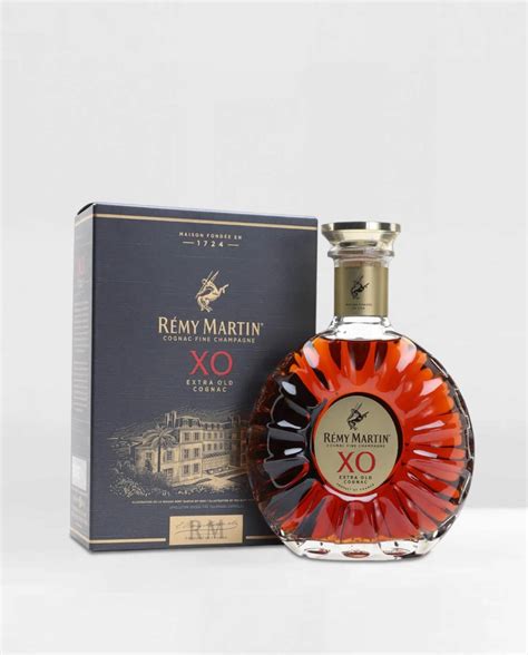 Konjak Remy Martin XO 0,7L | hedonism.ba