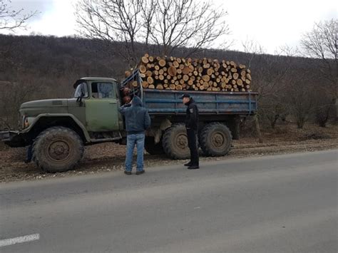 Au primit amenzi pentru că au tăiat lemn în valoare de peste 3000 lei