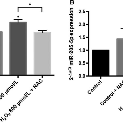 Oxidative Stress Regulates MiR2055p Expression Superoxide Anions