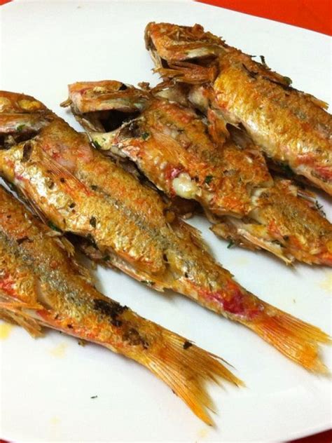 Arxius De Peix De Mar Catalunya Comestible