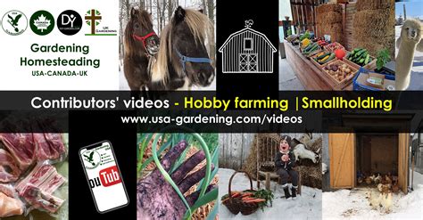 Hobby Farming Smallholding Videos Of Gardening Homesteading Usa