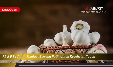 Ketahui Manfaat Bawang Putih Untuk Kesehatan Tubuh Yang Bikin Kamu