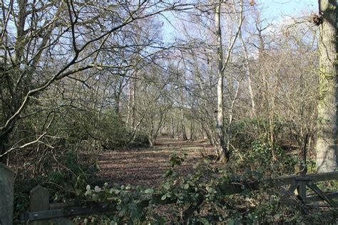 Track Into Norton Big Wood J Hannan Briggs Cc By Sa Geograph