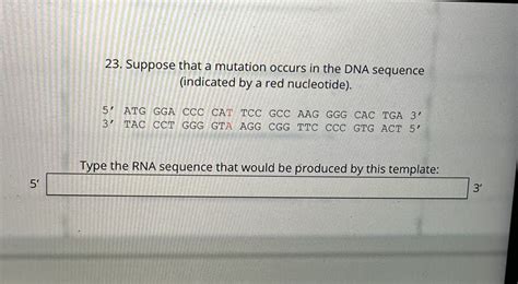 Solved 23. Suppose that a mutation occurs in the DNA | Chegg.com 