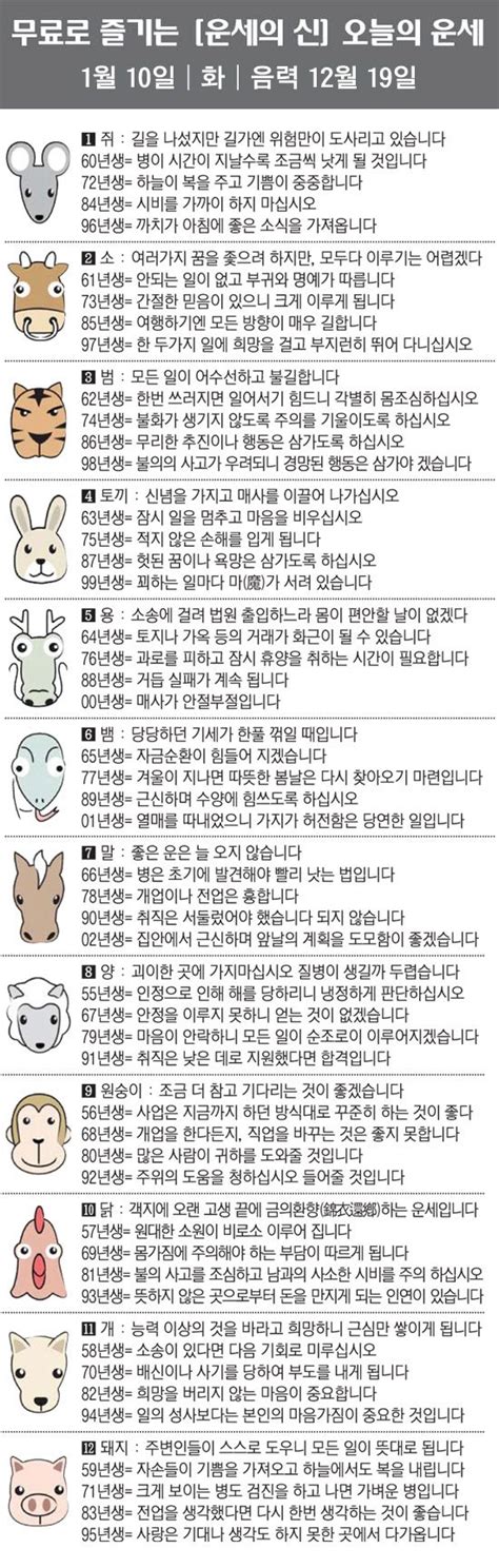 직장인을 위한 오늘의 운세 2023년 1월 10일 화요일 오늘의 띠별 운세 음력 12월 19일 네이트 뉴스