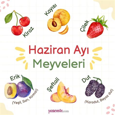 Haziran Ay Nda Hangi Sebzeler Yenir Haziran Sebzeleriyle Enfes Yemek