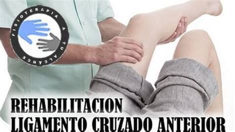 Ligamento Cruzado Anterior Fisioterapia A Tu Alcance