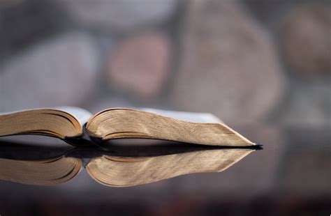 Lds Scripture Study
