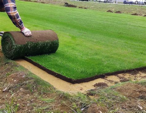 Comment préparer le terrain pour mettre du gazon en rouleau Gazons