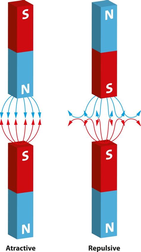 Types Of Magnets A Visual Guide