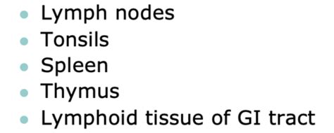 Adv Heme Mature Lymphoid Neoplasms Flashcards Quizlet