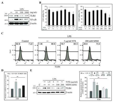 Sulfur Compounds Inhibited Lps Induced Expression Of Tlr4 A Western